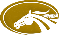 dakota finance submark gold