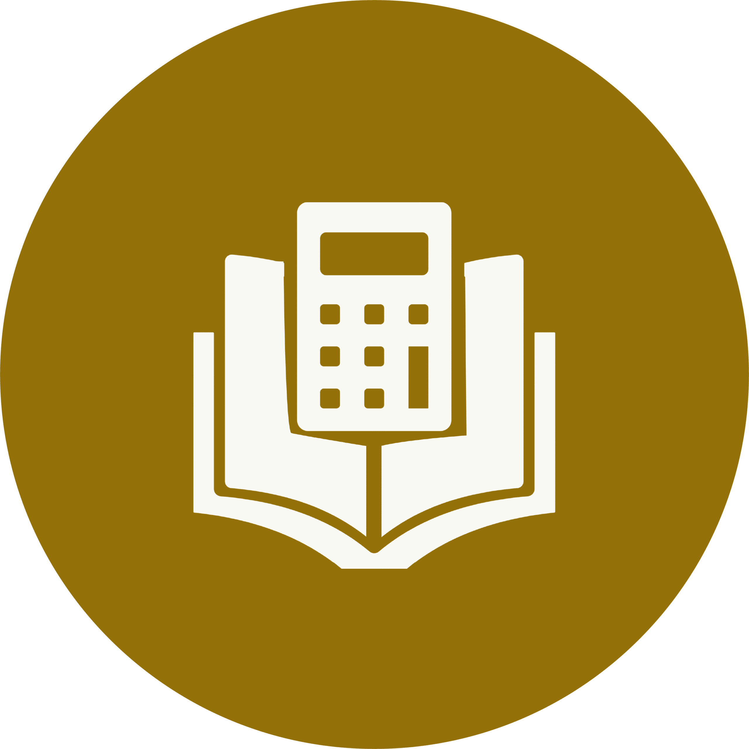 finances icon